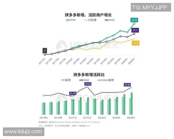 深入探讨上海网球队的实力与表现数据分析全景解析