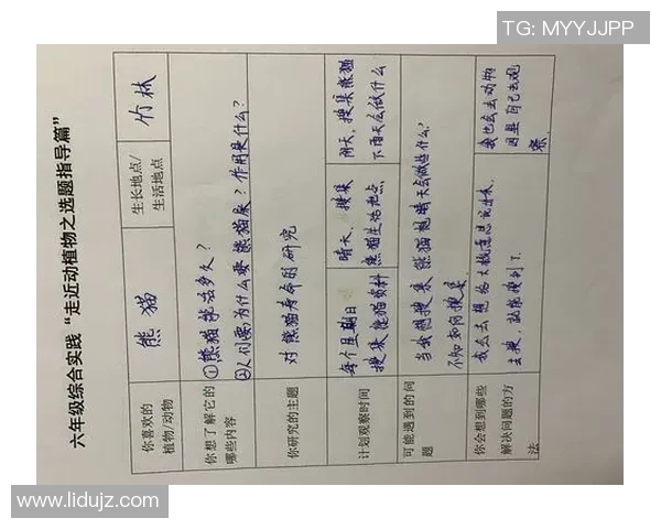 西安羽毛球队团队协作新模式探讨与实践分享