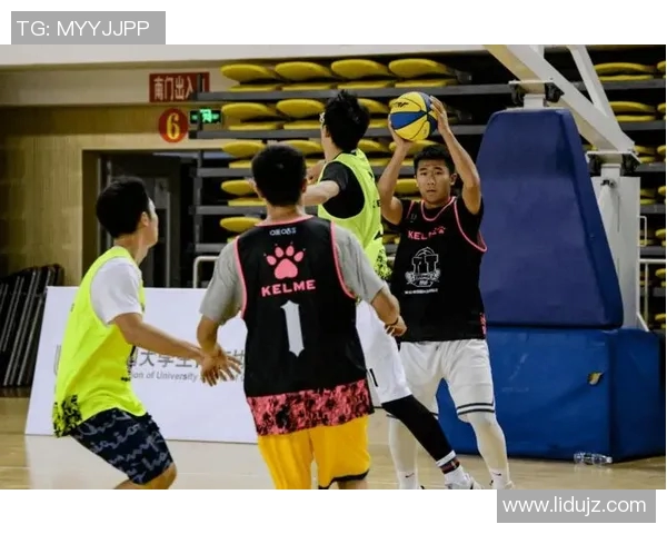 南京篮球队在全国锦标赛中的团队协作表现分析与点评