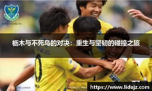 枥木与不死鸟的对决：重生与坚韧的碰撞之旅