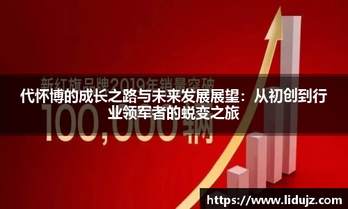 代怀博的成长之路与未来发展展望：从初创到行业领军者的蜕变之旅